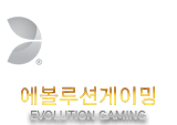 에볼루션 배경